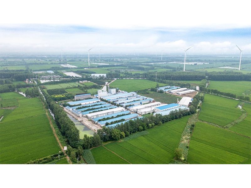 2023年中央一號(hào)文件出爐，畜禽產(chǎn)業(yè)應(yīng)抓住哪些新機(jī)遇？