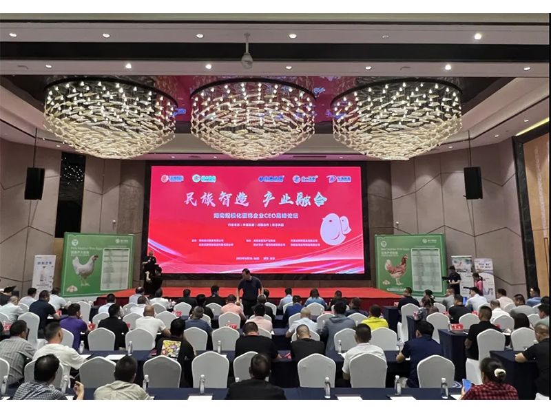 熱烈祝賀湖南規(guī)?；半u企業(yè)CEO高峰論壇取得圓滿成功！